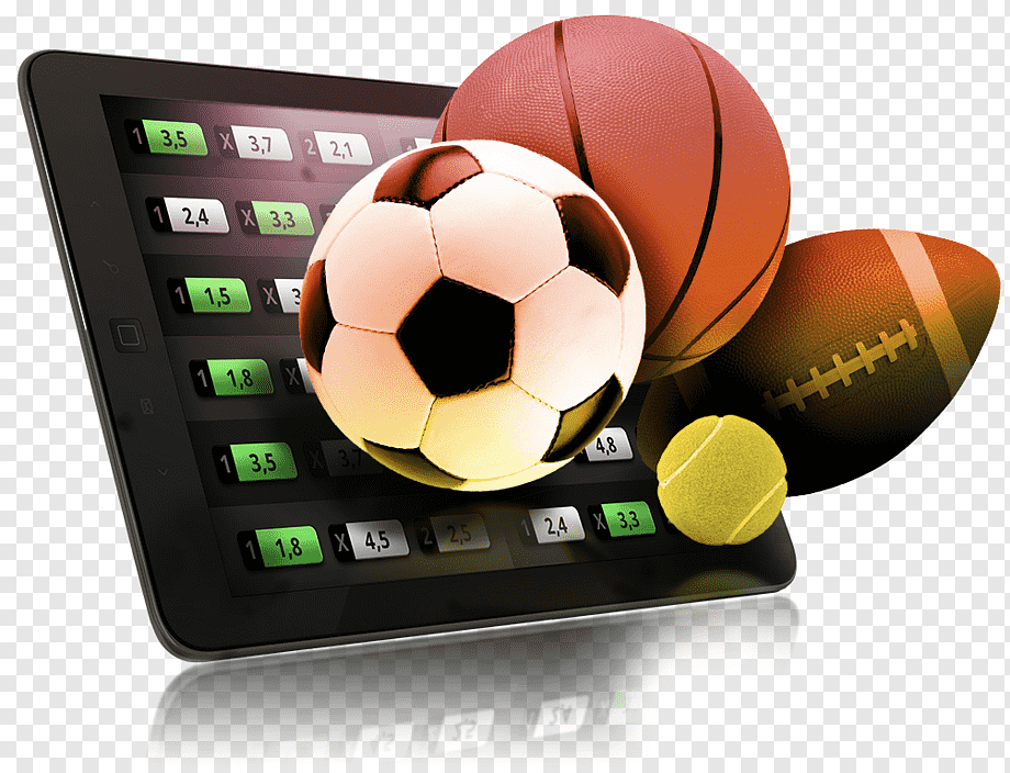 No Wagering Free Spins – Keep What You Win 19 No Wagering Free Spins – Keep What You Win 19